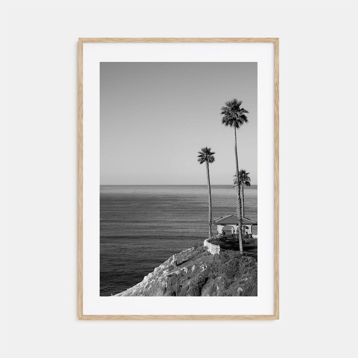 Pismo Beach Tall Palm Trees On Ocean Cliff Black And White Poster