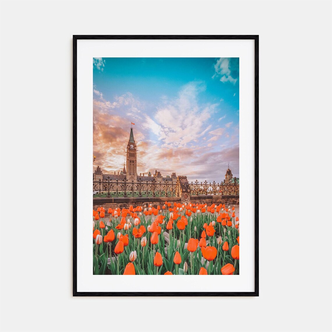 Ottawa Parliament Hill Peace Tower Tulips Spring Sunset Poster