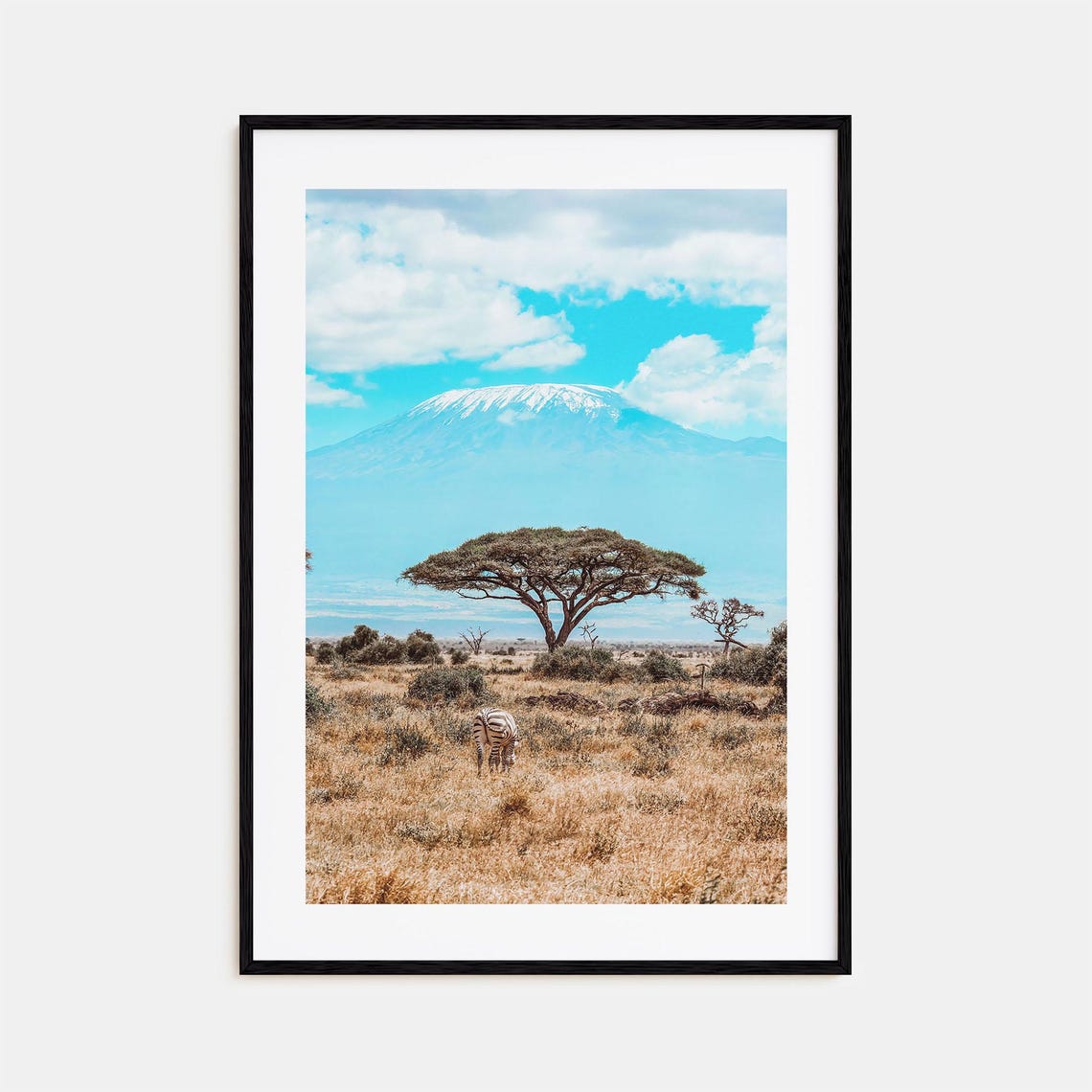 Kenya Zebra Savanna Acacia Tree Snow Capped Kilimanjaro Poster
