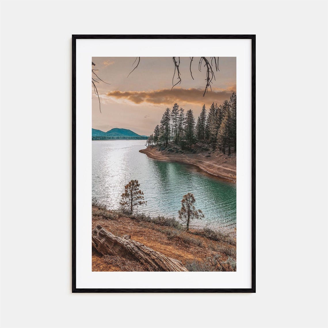 Davis Lakeside Pine Forest Sunset Colorful Photography Poster