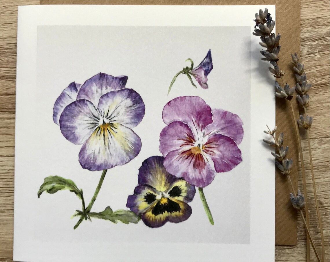 Pansy Flower Art Print, Botanical Floral Decor