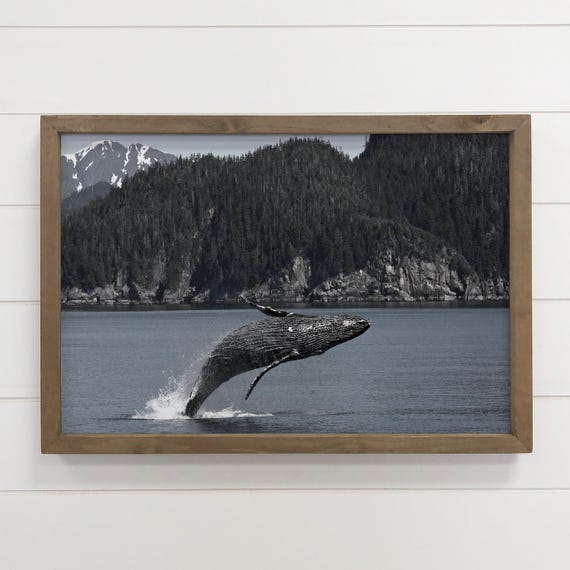 Humpback Whale Pacific Coast Framed Animal Photography Art Wooden Sign