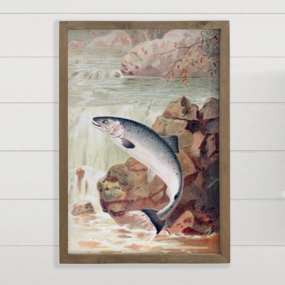 Vintage Fish Painting Framed Wall Art Print Salmon Leap Canvas Wood Decor