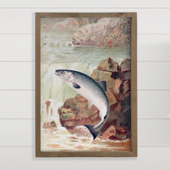 Vintage Leaping Salmon Retro Illustration Waterfall Fish Painting Poster