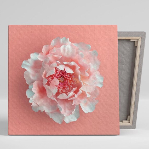 Peony Art Or Poster Floral Minimalism Elegance Bedroom Living Room Nursery Office Wall Decor Pink White Coral Charm Peony Decor