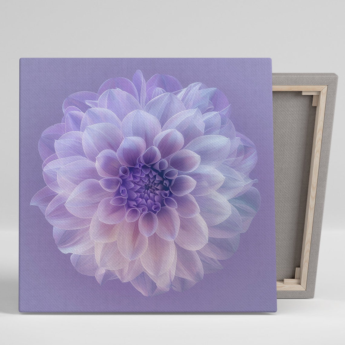 Translucent Lavender Dahlia Purple Monochrome Bloom Art Print
