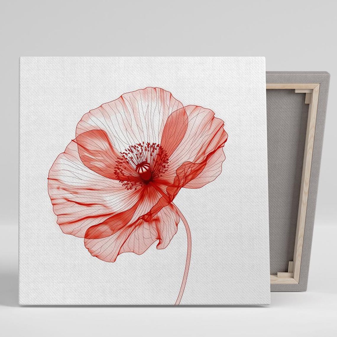 Red Poppy Translucent X Ray Style Minimalist Delicate Floral Poster