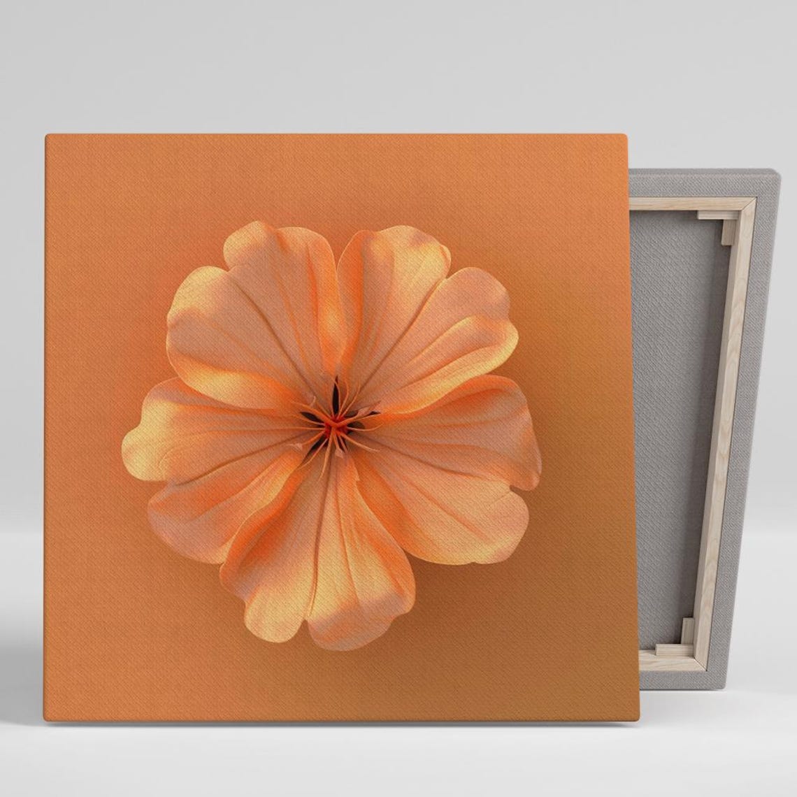 Orange Cosmos Flower Macro Warm Terracotta Background Wall Art