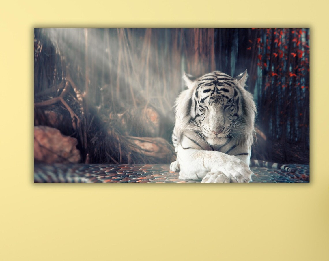 White Tiger Resting Misty Forest Wildlife Nature Photography Poster
