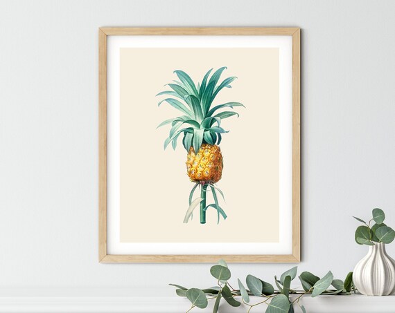 Vintage Pineapple Botanical Illustration Tropical Kitchen Poster
