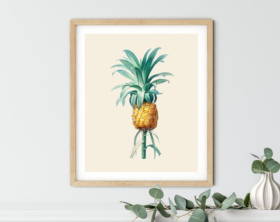 Vintage Pineapple Print Decor Wall Art Tropical Kitchen Botanical