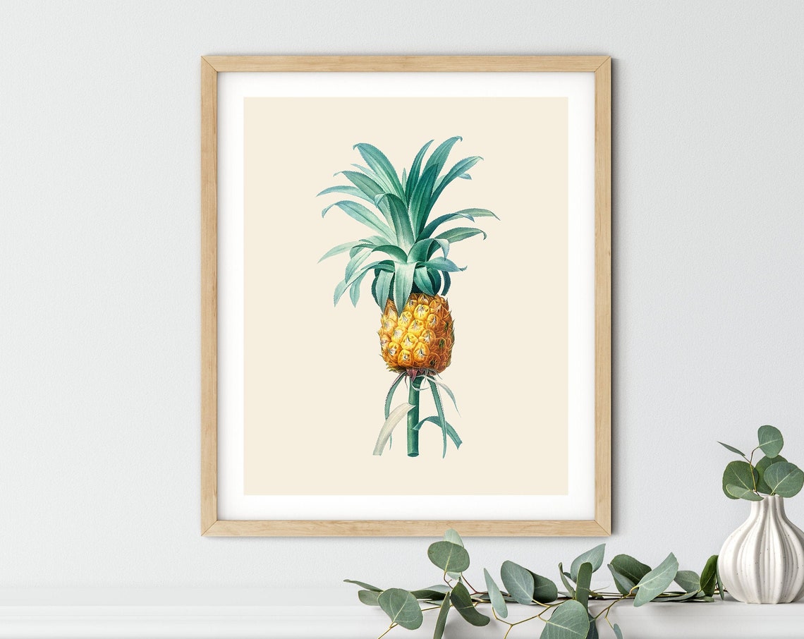 Vintage Pineapple Print Decor Wall Art Tropical Kitchen Botanical
