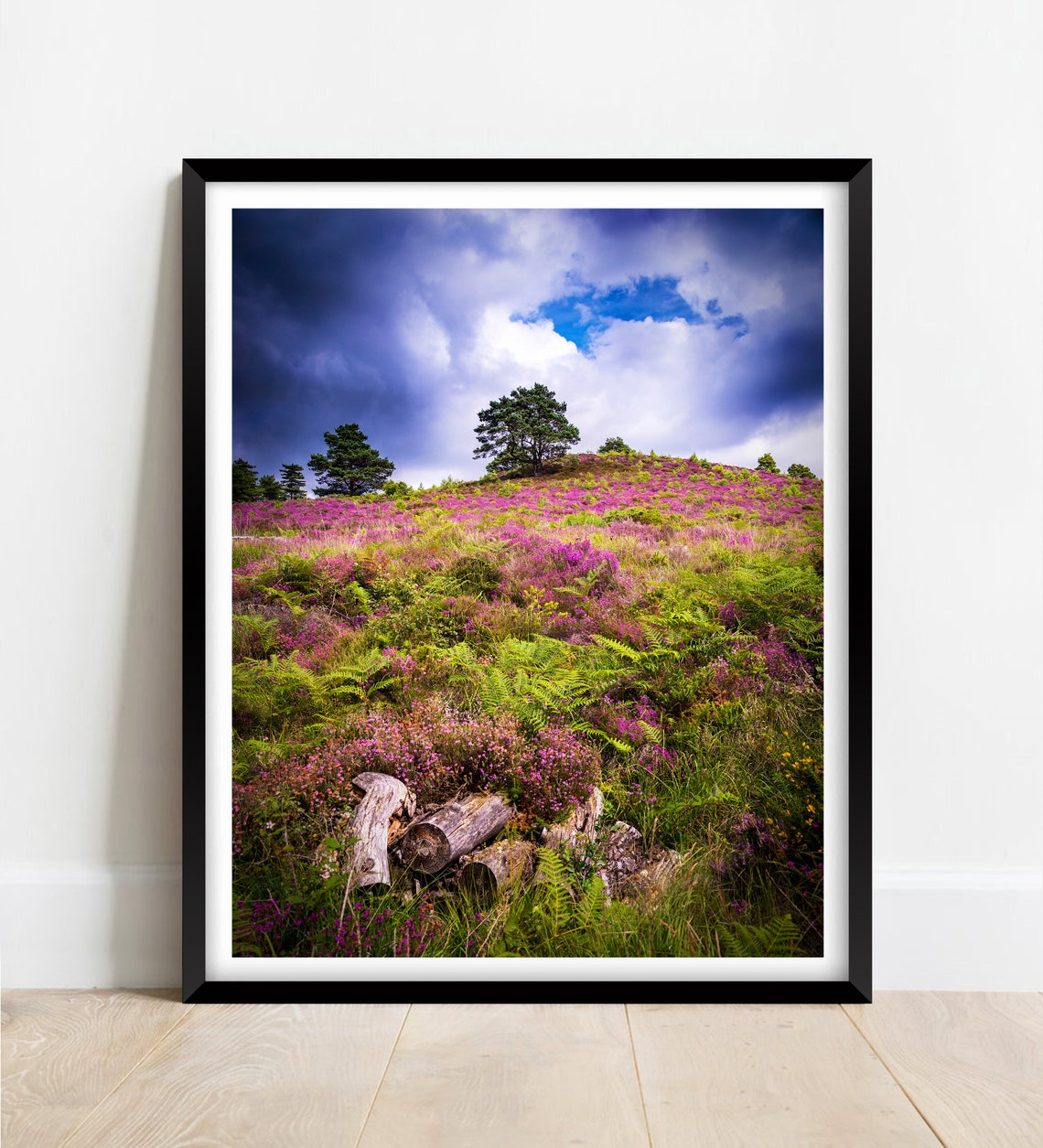 Purple Heather Dorset Heaths Blooming Hills Under Stormy Sky Poster