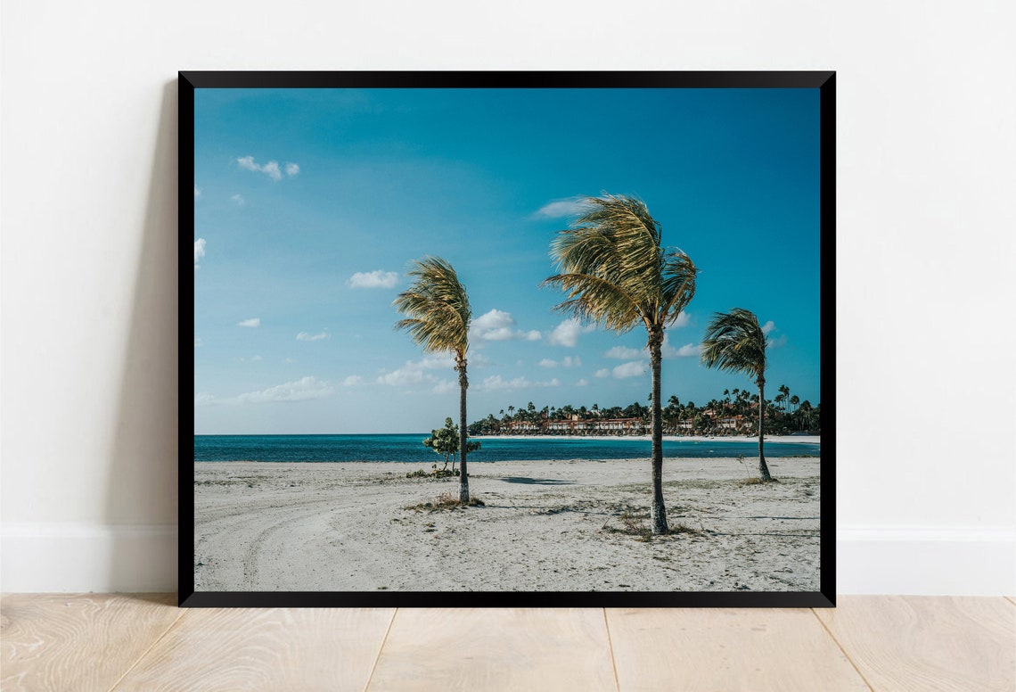 Eagle Beach Aruba Palm Trees White Sand Turquoise Sea Poster - Image 2