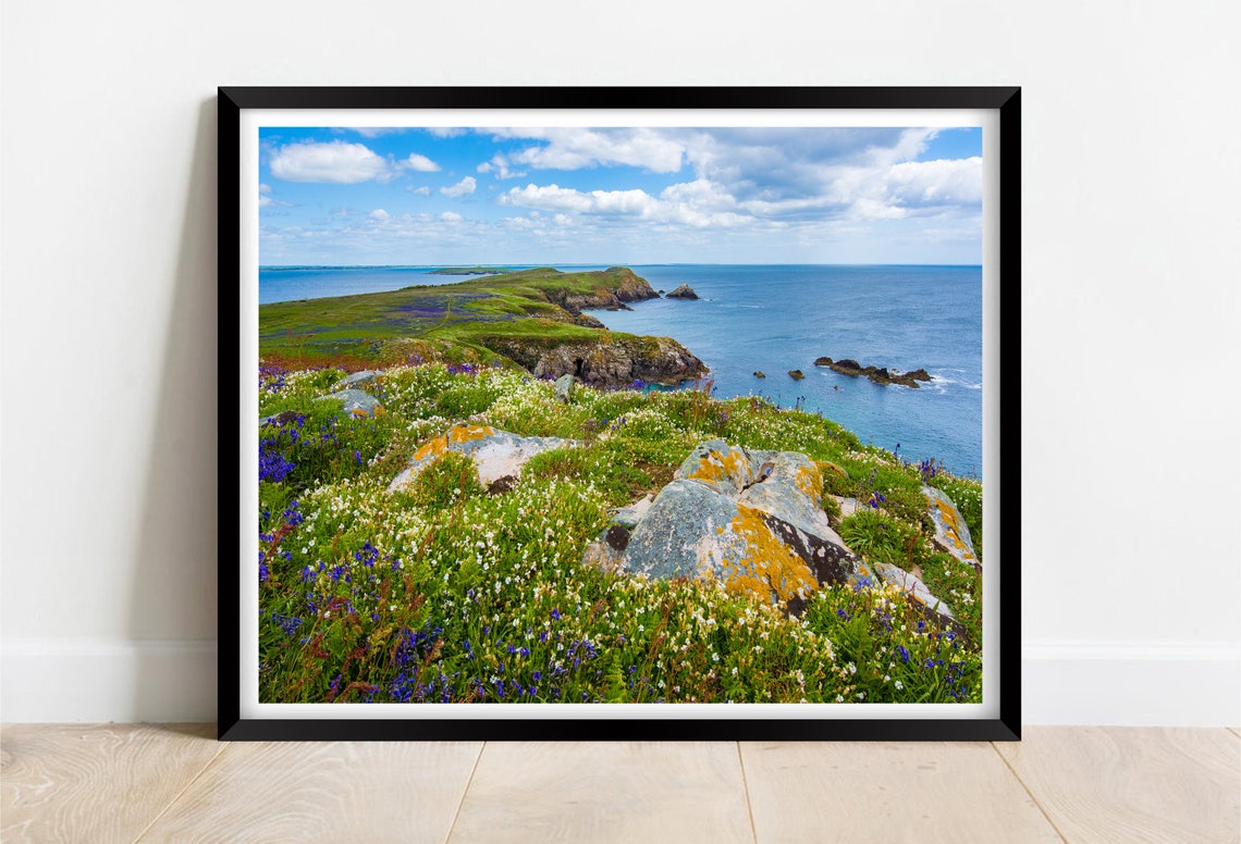 Saltee Islands County Wexford Republic Of Ireland Limited Edition Print Photography Wall Art Exclusive Print Poster Photos Ire
