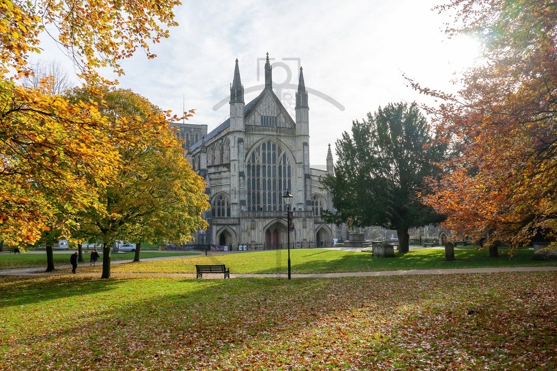 Winchester Cathedral In Golden Autumn Surrounded By Fall Trees Poster - Image 3