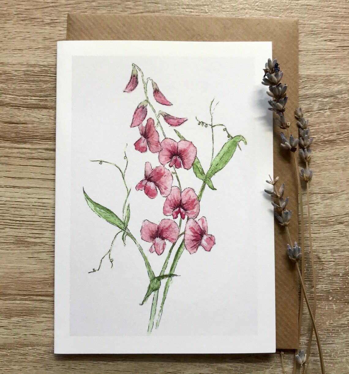 Sweet Pea Flower Art Print, Botanical Floral