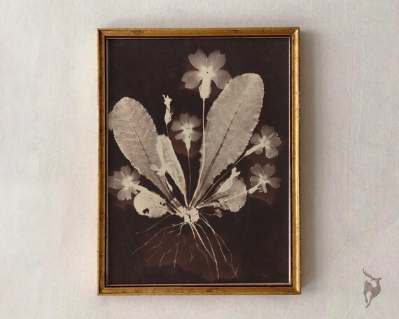 Moody Floral Print Gothic Prints Witchy Art Dark Botanical Decor Bedroom Light Academia Kitchen