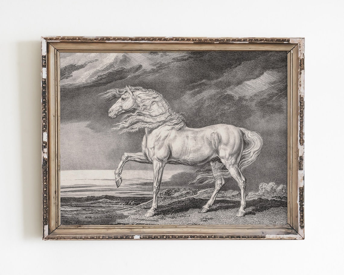 Rearing White Horse Vintage Engraving Dramatic Storm Sky Art Poster