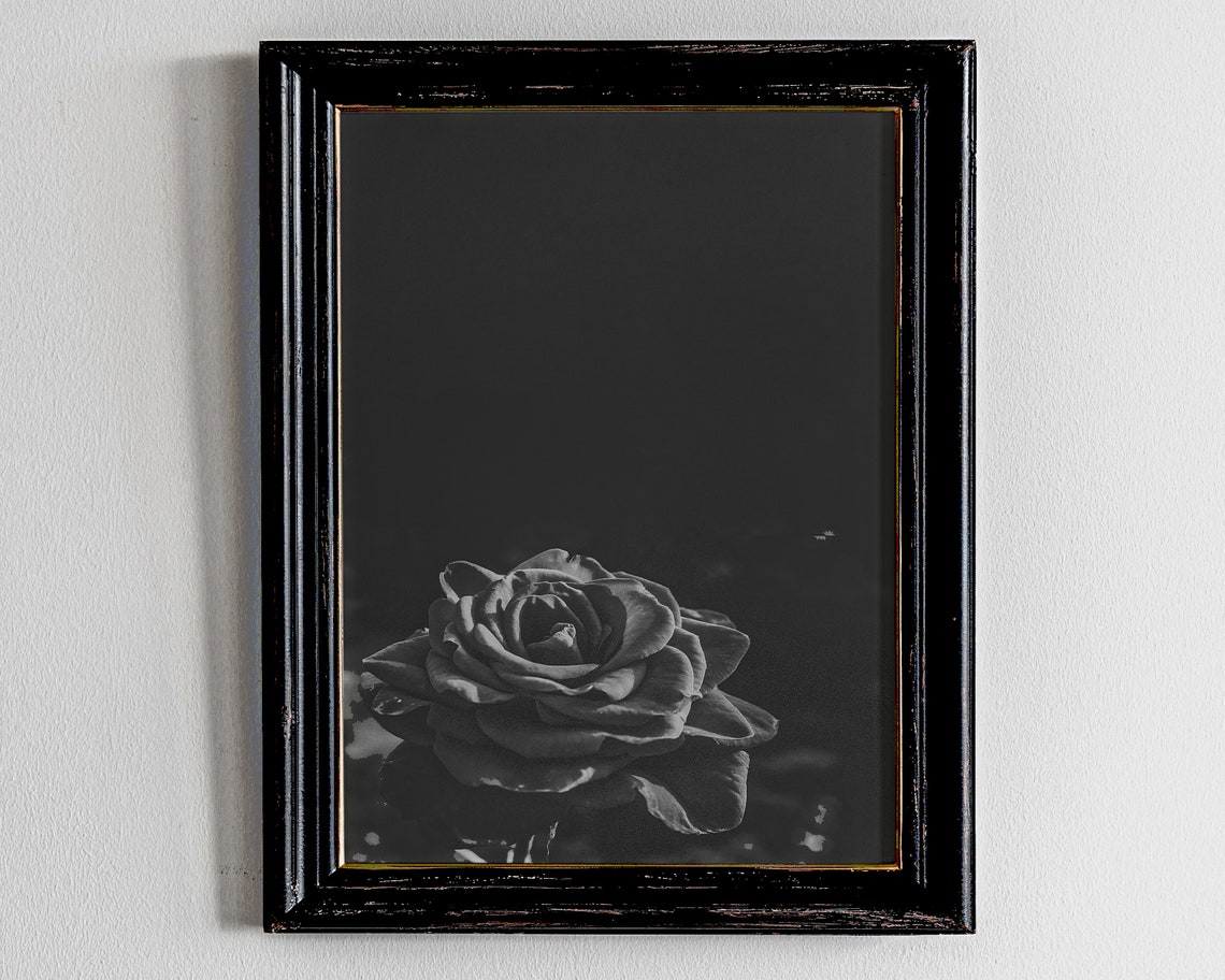 Moody Black Rose Flower Poster Dark Academia Botanical Art Decor
