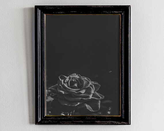 Dark Academia Room Decor Black Rose Print Moody Floral Art Prints Botanical Flower Feminine Wall
