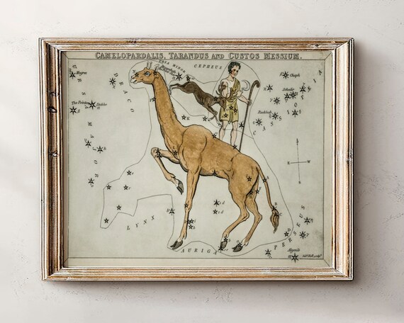Astrology Mapgift For Astrologyzodiac Giftsvintage Zodiac Posterantique Map Printvintage Printcelestial Home Decordark Academia