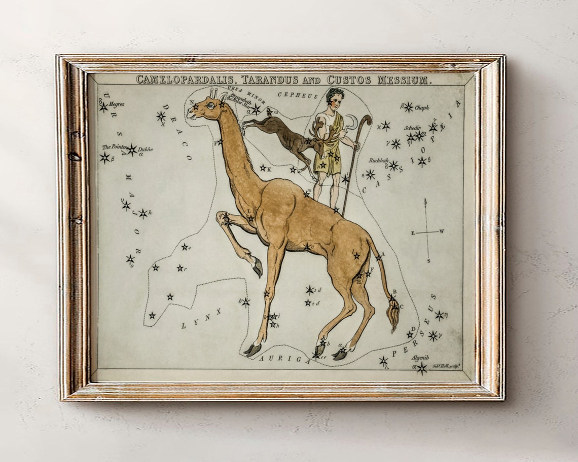 Camelopardalis Giraffe Antique Constellation Star Chart Poster
