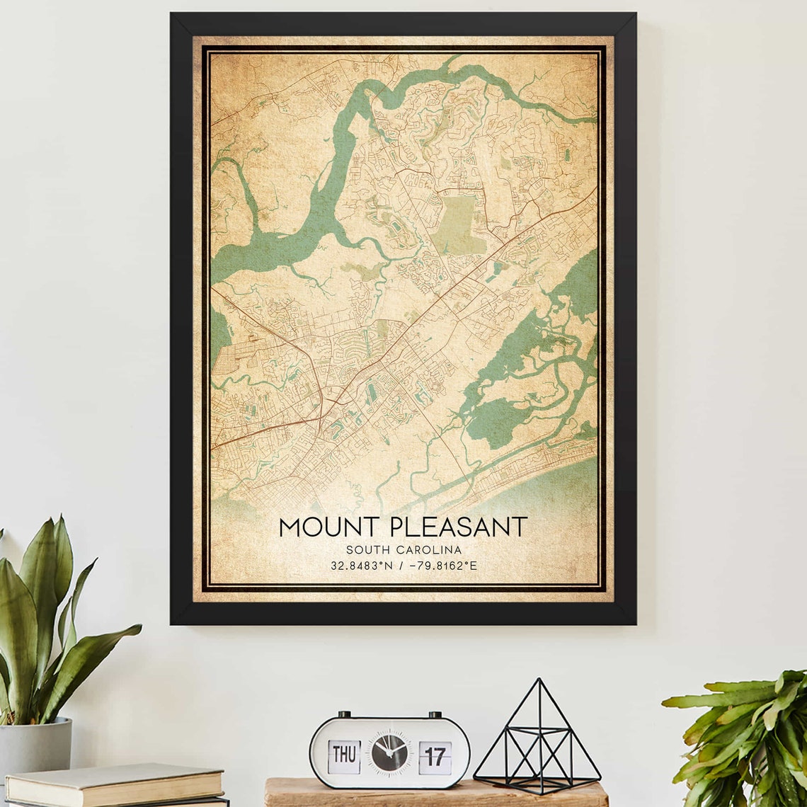 Mount Pleasant South Carolina Vintage Style Street Map Art Poster