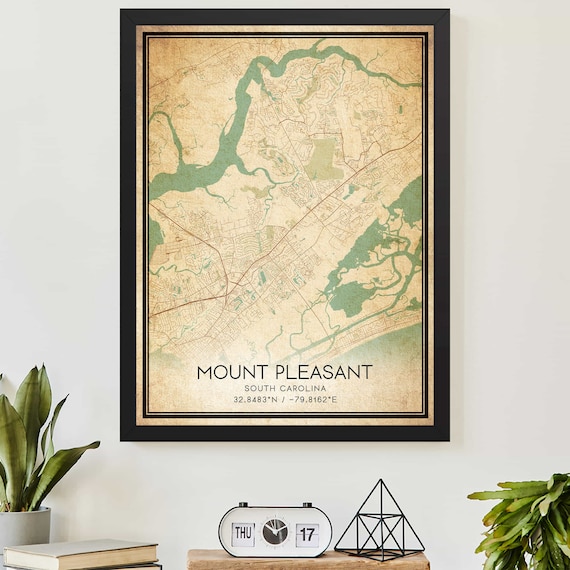Mount Pleasant South Carolina Vintage Style Street Map Art Poster