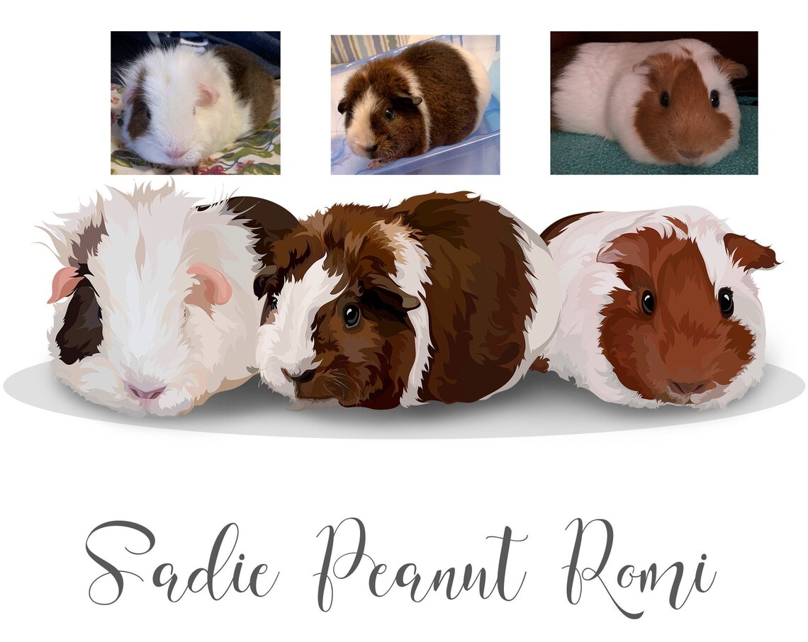 Custom Three Guinea Pig Portrait Sadie Peanut Romi Trio Poster