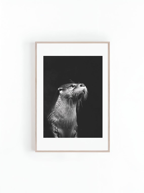Otter Portrait Against a Dark Background in Black and White Poster