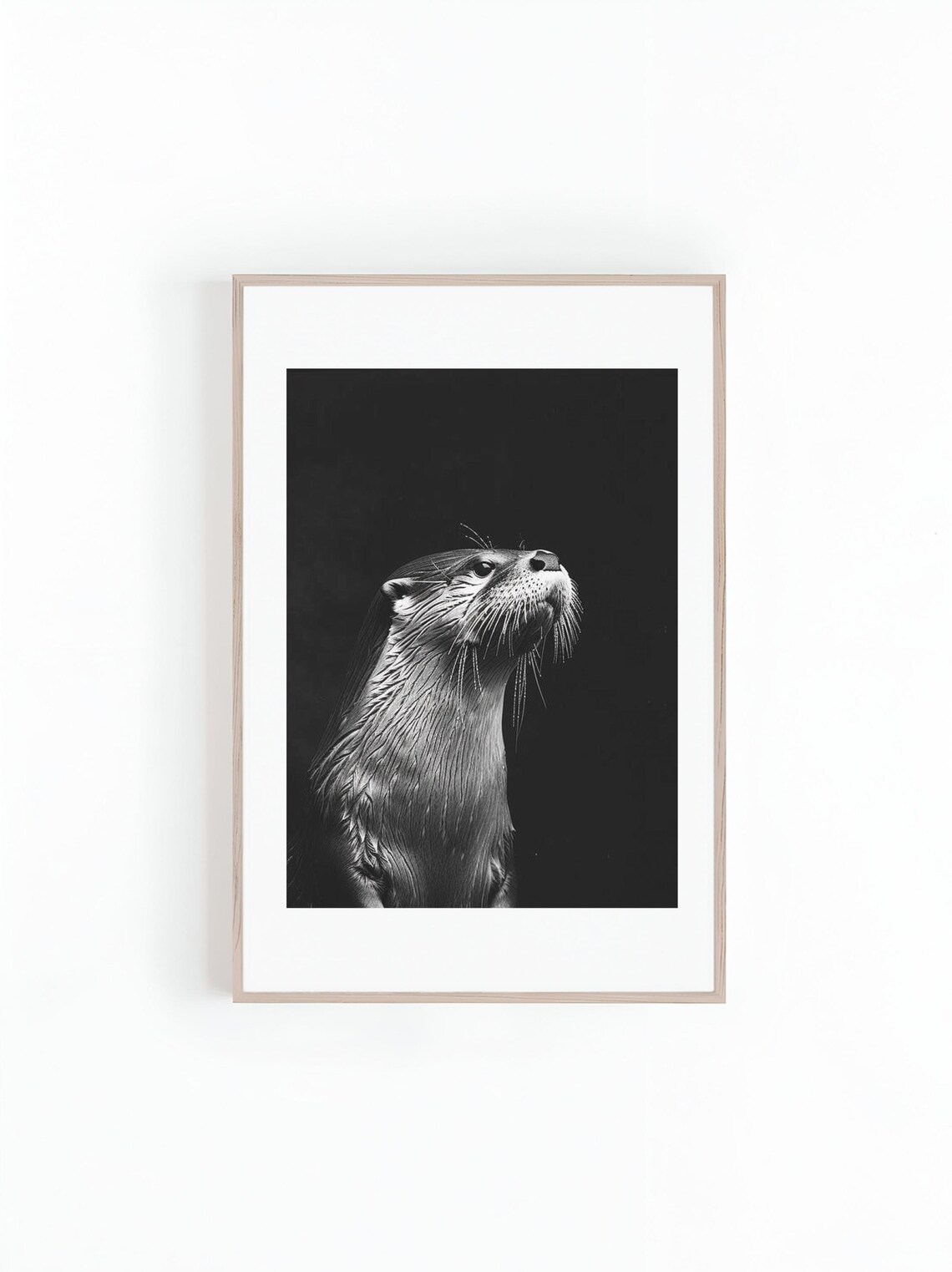 Otter Portrait Against a Dark Background in Black and White Poster