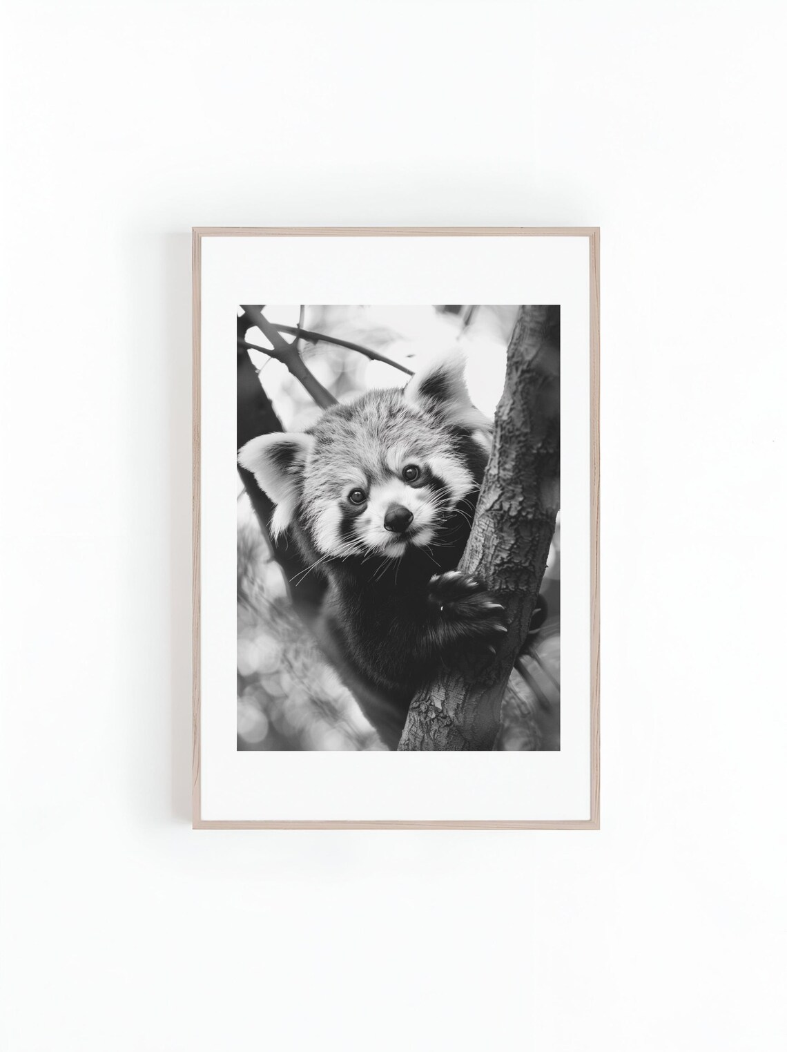 Adorable Baby Red Panda Climbing Tree Black White Photo Poster
