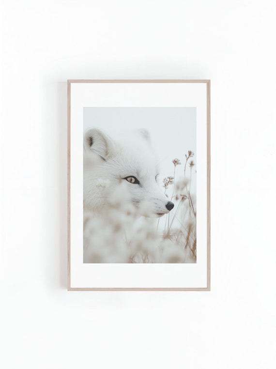 White Arctic Fox Peering Through Snowy Grass in Winter Poster