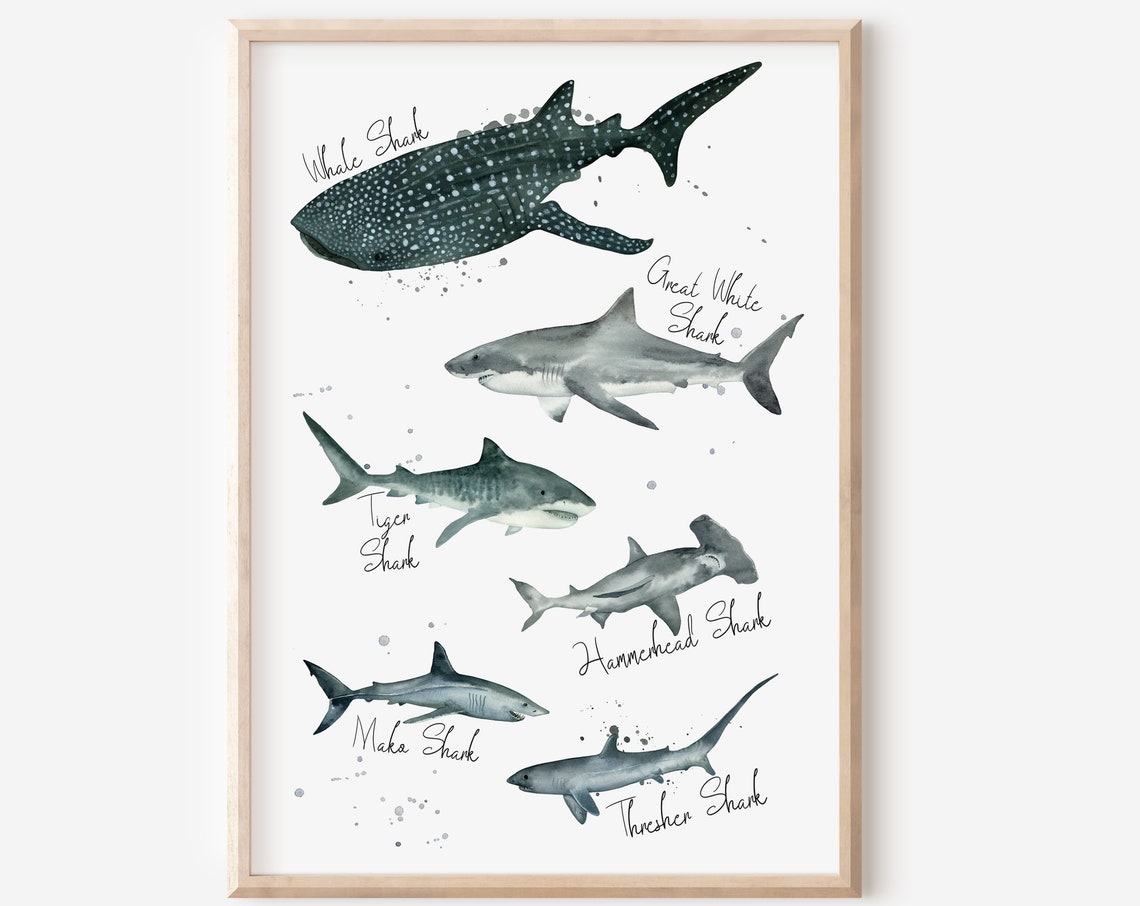 Species Print Labelled Poster, Whale and Great White Tiger