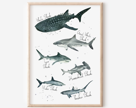 Species Print Labelled Poster, Whale and Great White Tiger