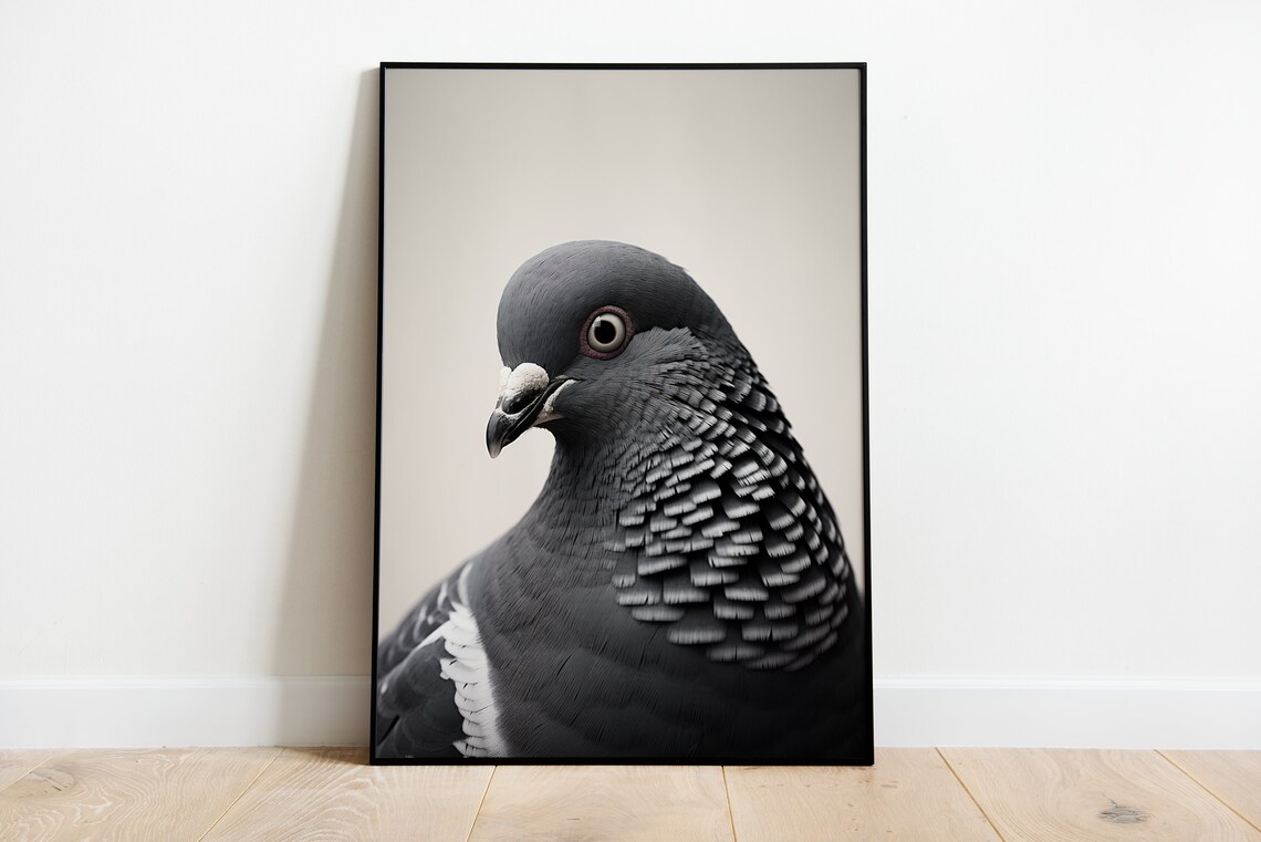 Pigeons Bird Lover Art Print, Bird Poster