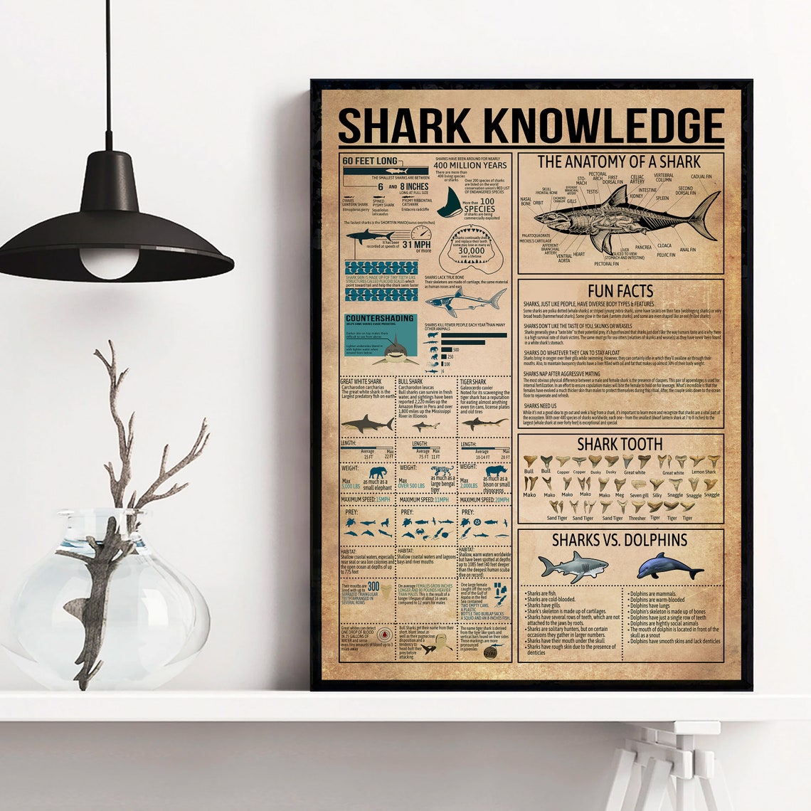 Shark Knowledge Anatomy Fun Facts Teeth Vintage Chart Poster - Image 3
