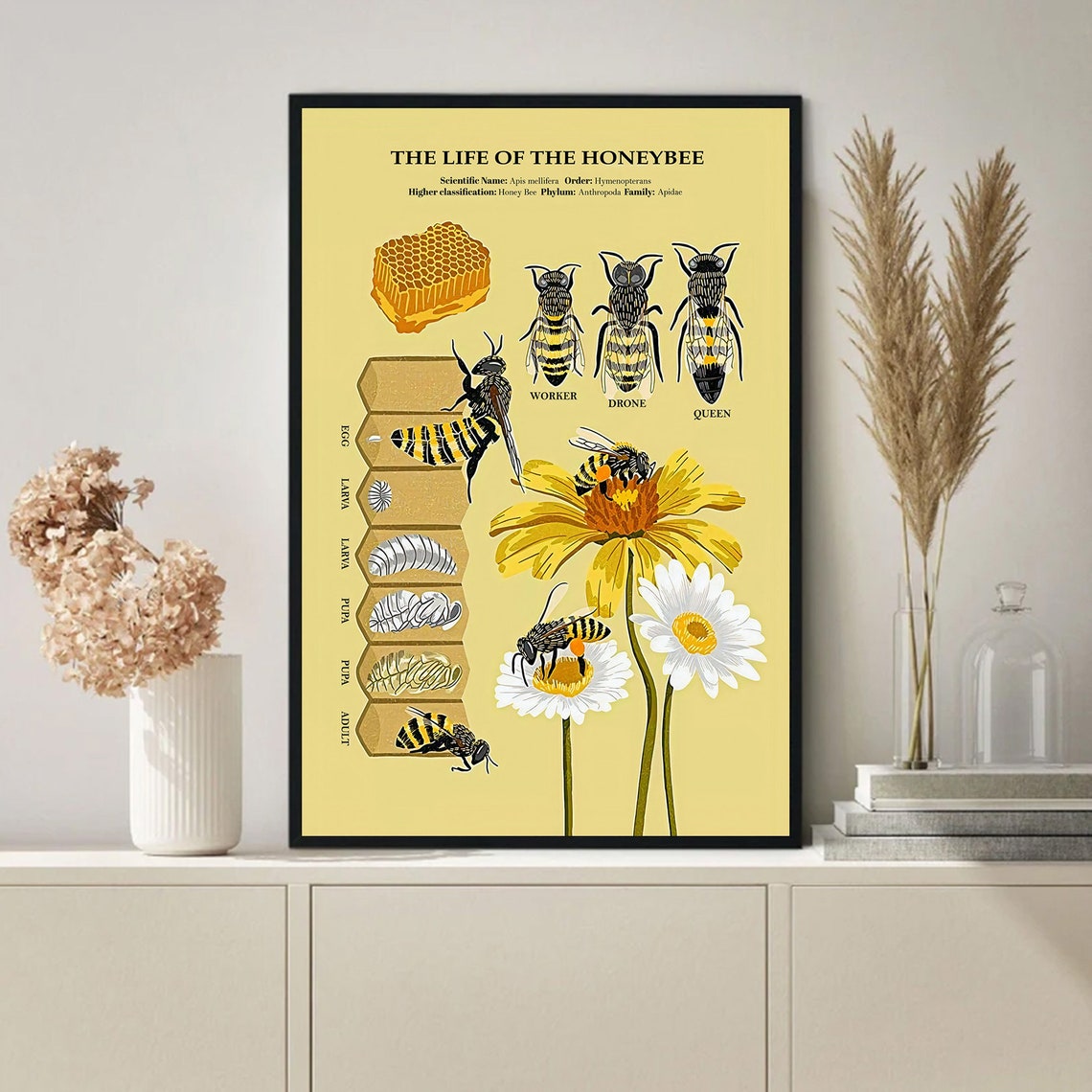 The Life of the Honeybee Educational Lifecycle Anatomy Chart Poster - Image 2