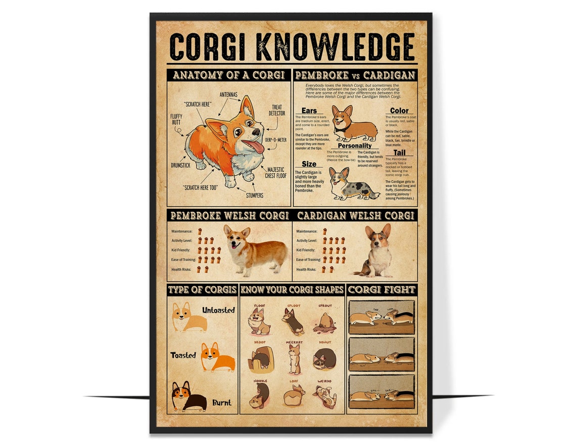 Corgi Knowledge Funny Anatomy Chart Vintage Poster for Dog Lovers