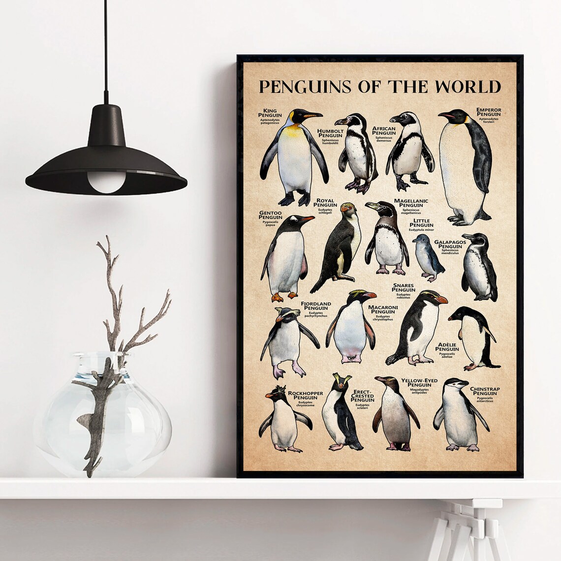 Penguins Of The World Illustrated Vintage Species Chart Poster - Image 4