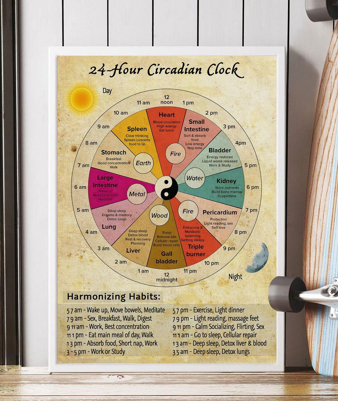 24-Hour Circadian Clock Chinese Medicine Organ Wheel Vintage Poster - Image 3