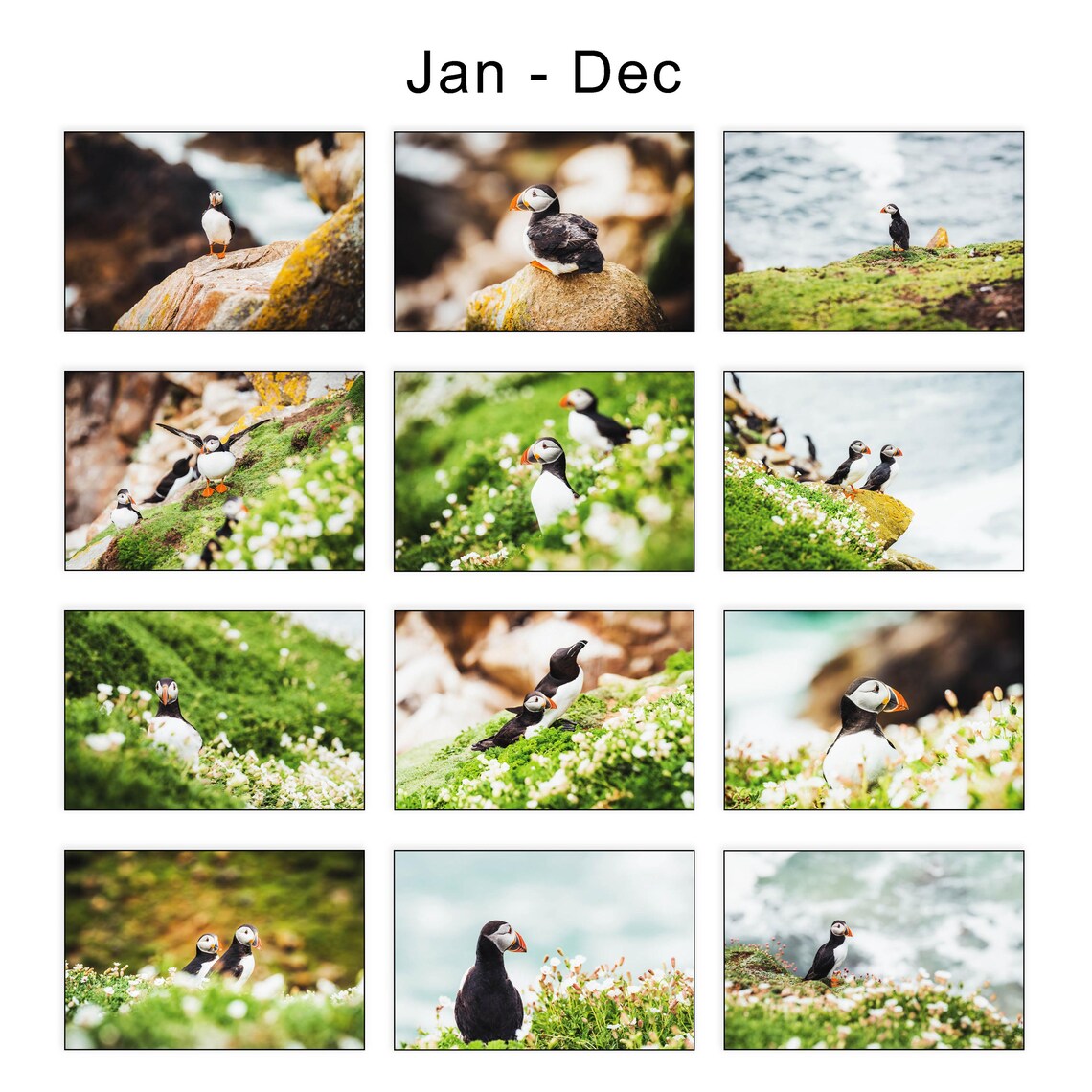 Puffin Wildlife Calendar, Bird Art Poster Print - Image 4
