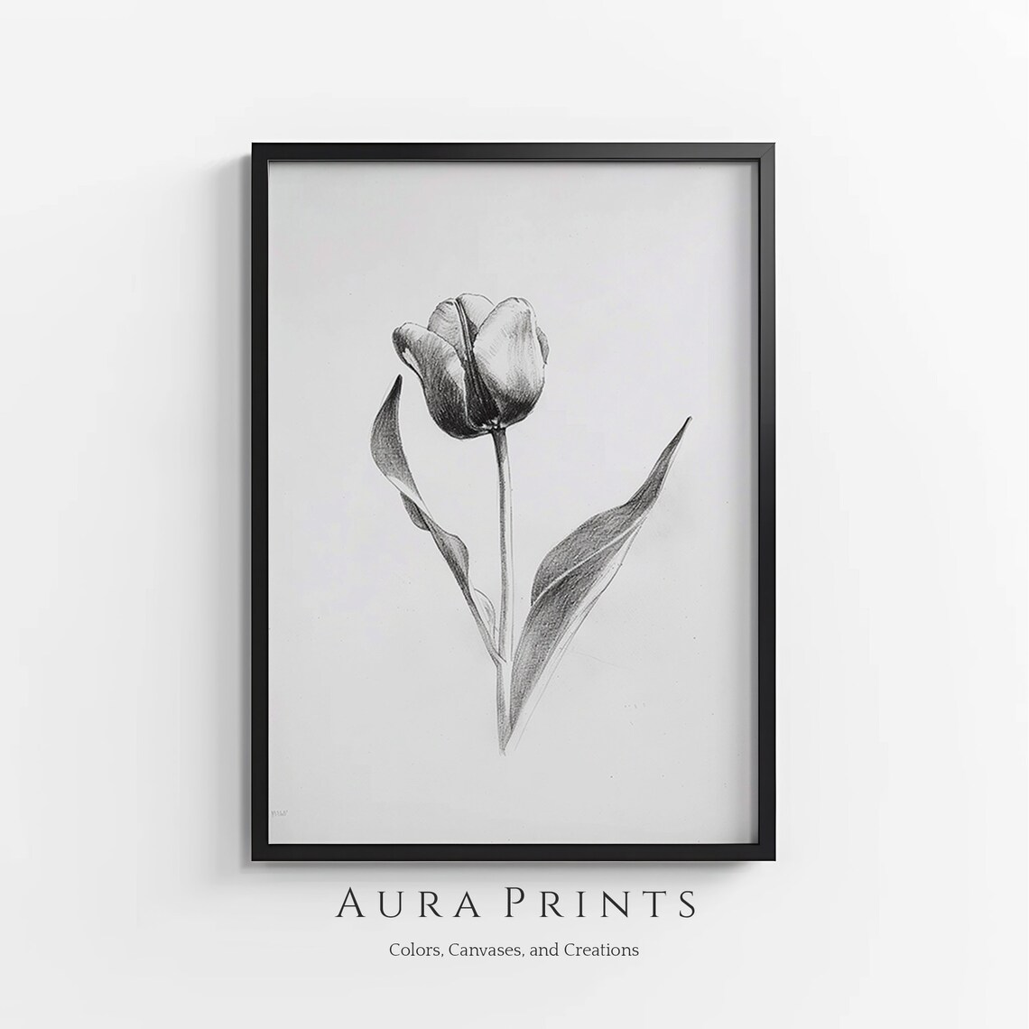 Tulip Flower Pencil Sketch Botanical Minimalist Floral Art Poster