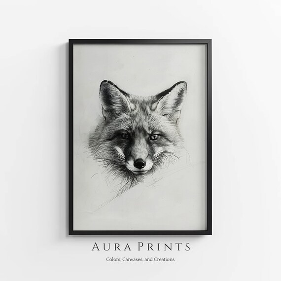 Gentle Fox Sketch Nature Drawing Vintage Wall Art Gift 0942