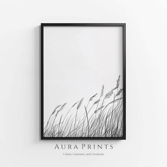 Minimalist Grass Stalks Black White Botanical Sketch Art Poster
