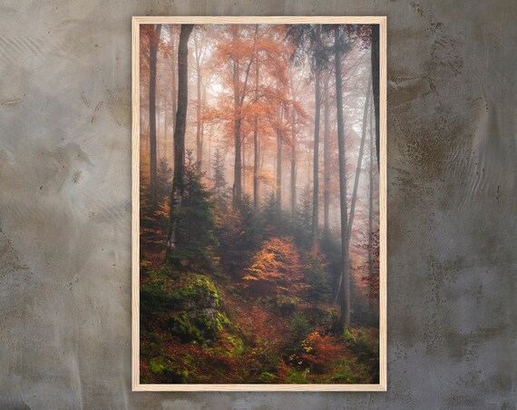 Misty Autumn Forest With Glowing Orange And Red Fall Foliage Poster