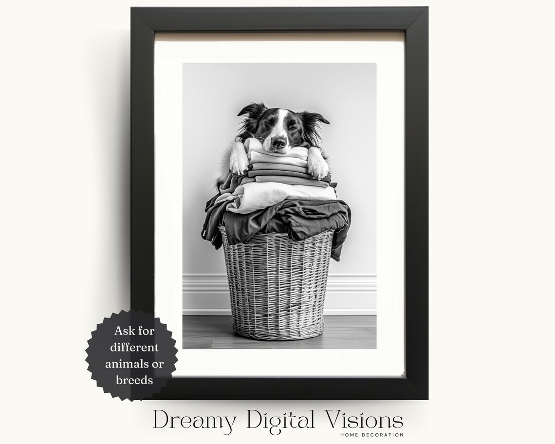 Cute Border Collie Dog Print, Farmhouse Laundry Decor
