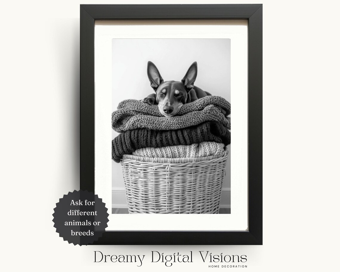 Sleeping Puppy on Knit Blankets in Wicker Basket Cozy Photo Poster