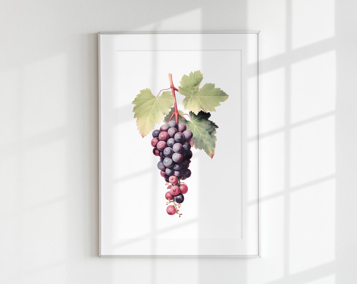 Grape Botanical Vintage Fruit Poster Print